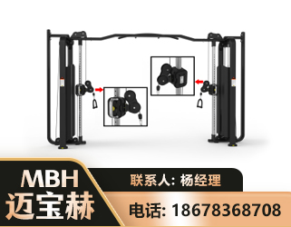 长春大飞鸟训练器